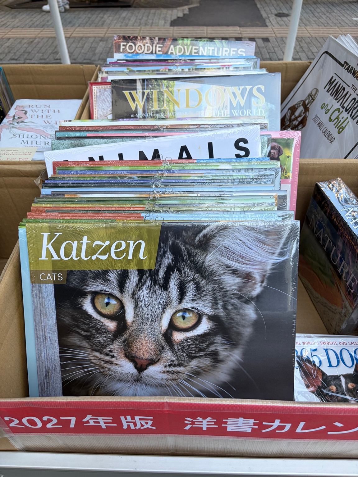 Foreign-language calendars for 2027 displayed in a box, with Katzen in German and CATS in English on the front cat cover.